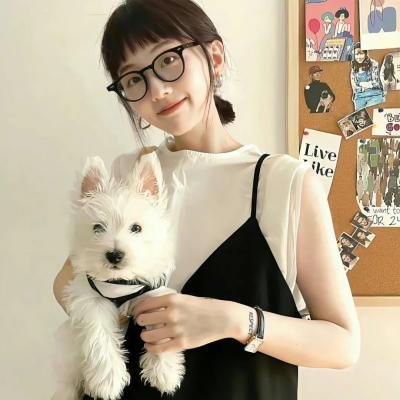 迪克切尼眼中的世界